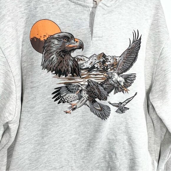 NWT BDG Urban Outfitters Bonfire Washed Hawk Eagle Mountain Graphic Hoodie L - Picture 4 of 11